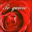 TE QUIERO MAS QUE NADIE